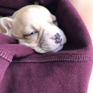 Meet your Posher, Colin